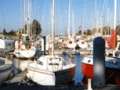 Mortagne sur Gironde